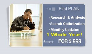 Search Engine Optimization Service